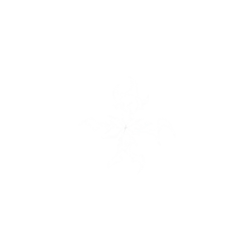 KATALYST